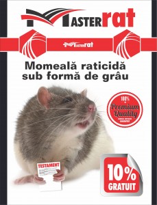 masterrat-grau